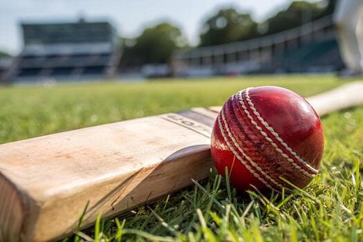 Cricket Collection